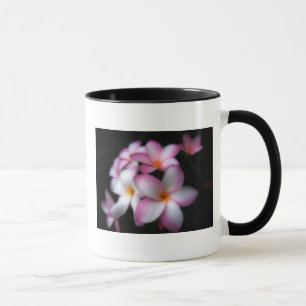 Frangipani dans la tasse de fleur
