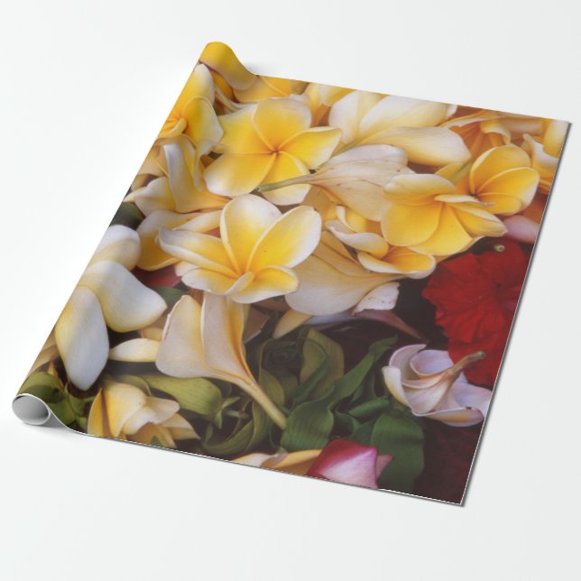 Frangipani Floral Wrapping Paper (Unrolled)