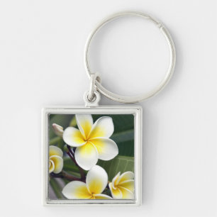 Frangipani flower Cook Islands Keychain