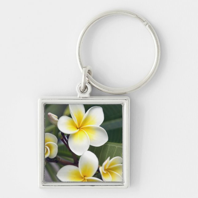 Frangipani flower Cook Islands Keychain (Front)