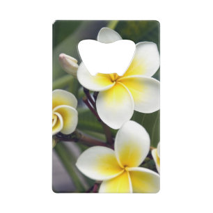 Frangipani flower Cook Islands Wallet Bottle Opener