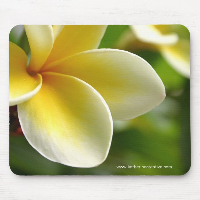 frangipani mouse pad (Front)