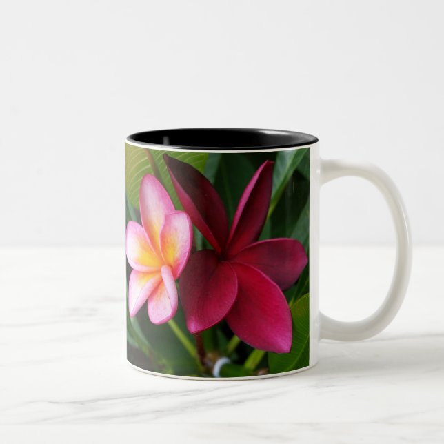 Frangipani Mug: Darwin Sunset & Hilo Beauty Two-Tone Coffee Mug (Right)