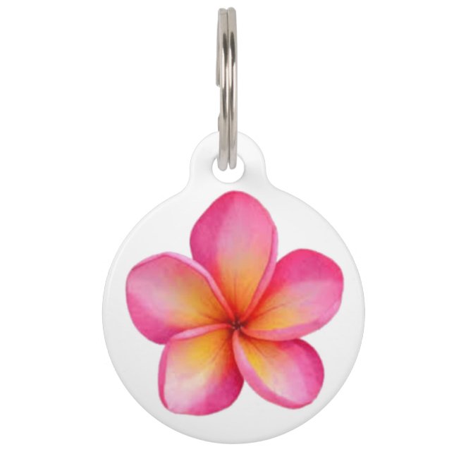 Frangipani Pet Tag  (Front)