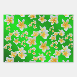 frangipani, petal, flower, design, blossom, plumer wrapping paper sheet