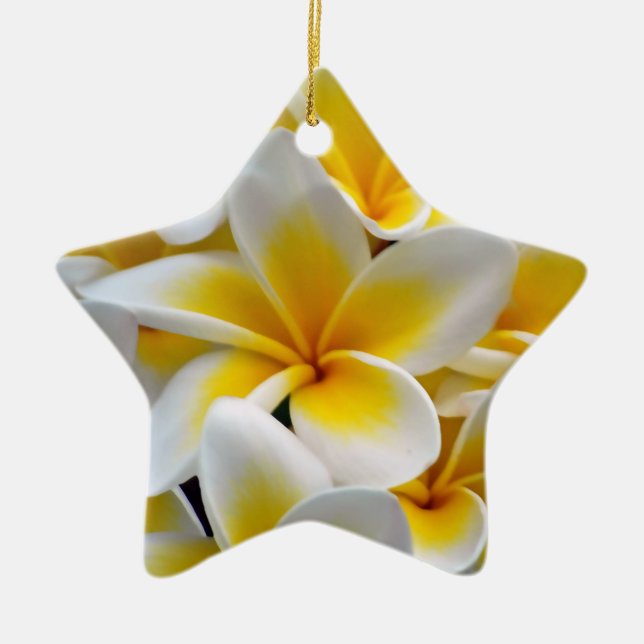 Frangipani Plumeria Flower Photo Ceramic Ornament (Front)