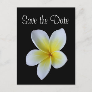 Frangipani save the date wedding announcement postcard