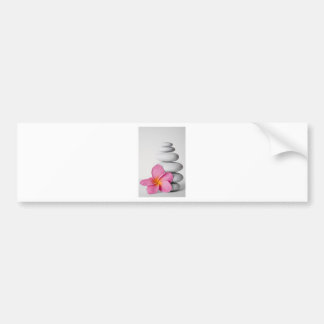 Frangipani Zen Bumper Sticker