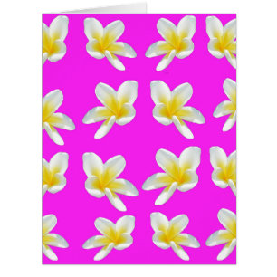 Frangipanis Jaune Sur Rose,