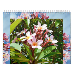 Frangipanis La Beauté De L'Amour 2023 Calendrier