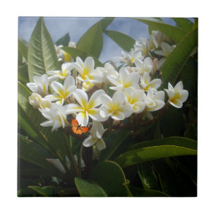 Frangipanis With Butterfly, Ceramic Tile