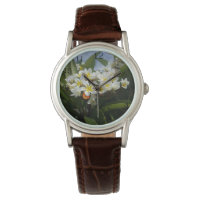 Frangipanis With Butterfly, Ladies Watch