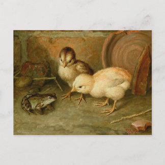 Frank Paton - You Are No Chicken Postcard