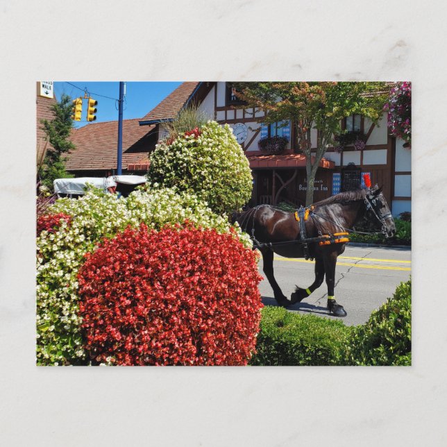 Frankenmuth, Michigan, horse drawn carriage Postcard (Front)