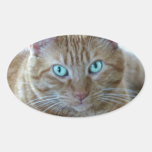 Frankie Oval Sticker