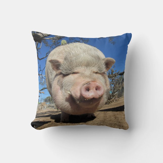 Frankie Pig Coussin (Recto)