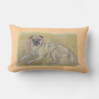 Frankie Pillow