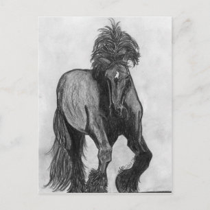 Frankie Postcard