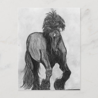 Frankie Postcard