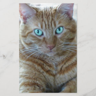 Frankie Stationery