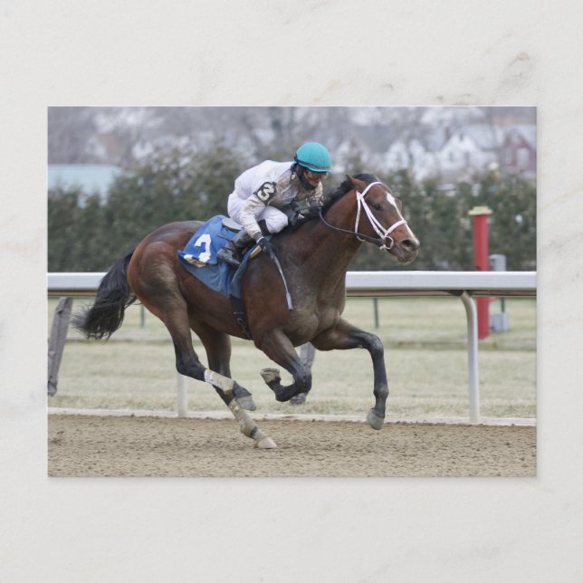 Frankienjymme Postcard (Front)