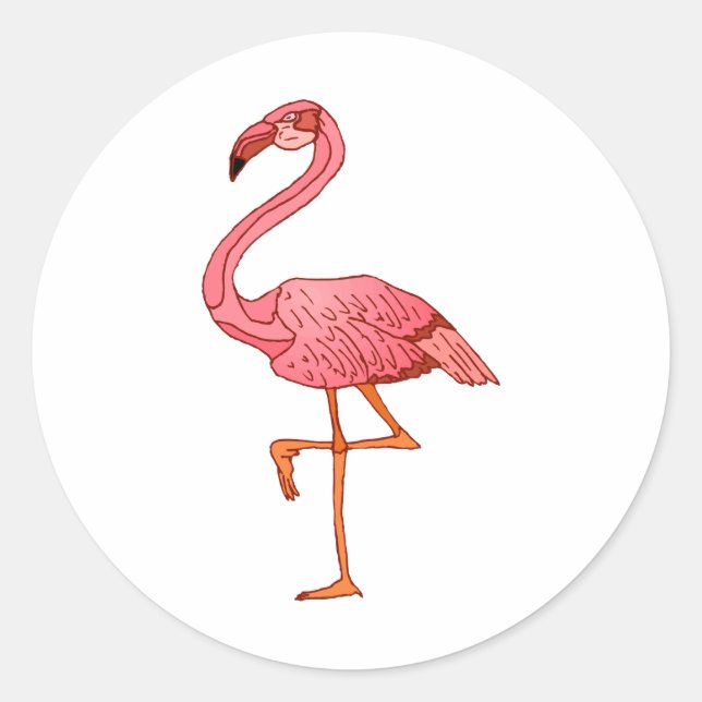 Franklin Flamingo Classic Round Sticker (Front)