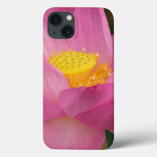 Franklin NC, Perry's Water Garden, Lotus 2 iPhone 13 Case