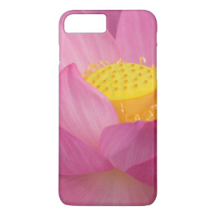 Franklin NC, Perry's Water Garden, Lotus 2 Case-Mate iPhone Case