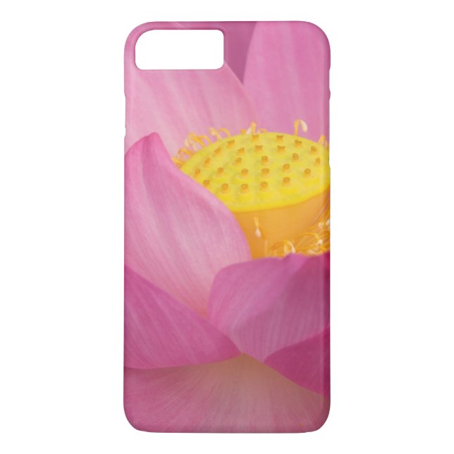 Franklin NC, Perry's Water Garden, Lotus 2 Case-Mate iPhone Case (Back)