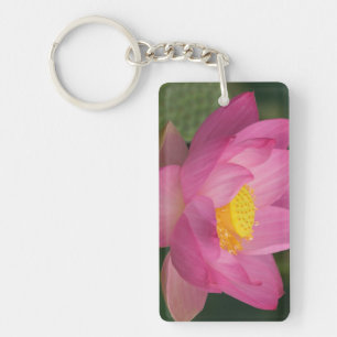 Franklin NC, Perry's Water Garden, Lotus 2 Keychain