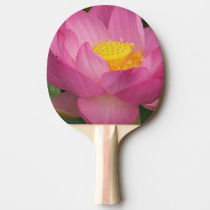 Franklin NC, Perry's Water Garden, Lotus 2 Ping Pong Paddle