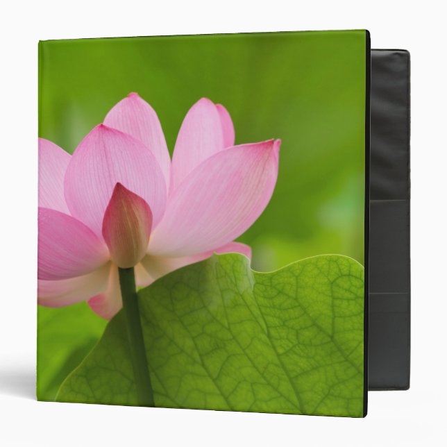 Franklin NC, Perry's Water Garden, Lotus Binder (Front/Inside)