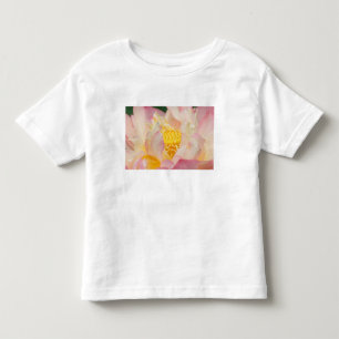 Franklin NC, Perry's Water Garden, Lotus with Toddler T-shirt