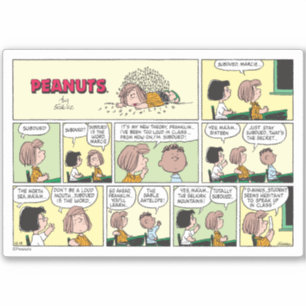 Franklin, Peppermint Patty & Marcie   Math Class