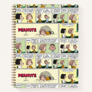 Franklin, Peppermint Patty & Marcie   Math Class Notebook