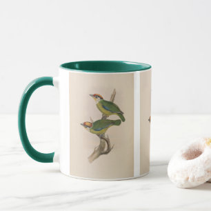 Franklin's Barbet by John Gould Mug