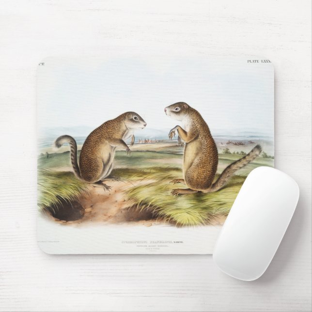 Franklin's Marmot Squirrel Camping Gear Deco Gifts Mouse Pad (With Mouse)