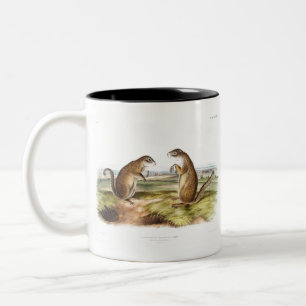 Franklin's Marmot Squirrel Camping Gear Deco Gifts Two-Tone Coffee Mug