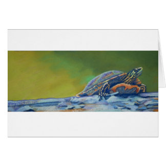 Frank's Turtle red eared striper