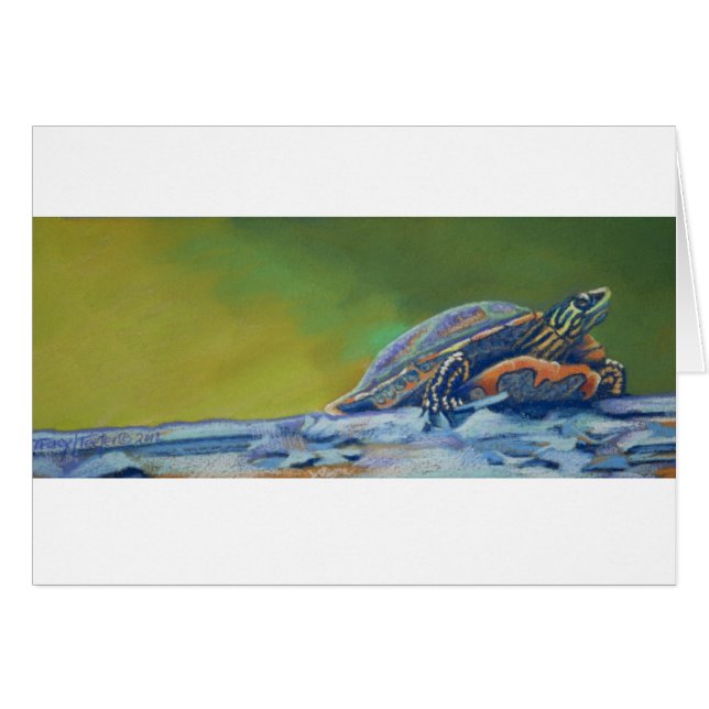 Frank's Turtle red eared striper (Front Horizontal)