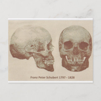 Franz Schubert from 1888 Exhumation Postcard