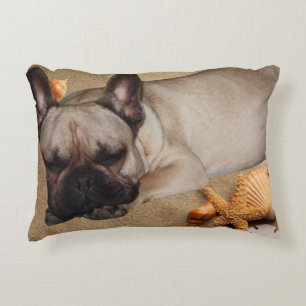 Französische. Bulldogge  Accent Pillow