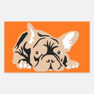 Französische Bulldogge auf orange Sticker