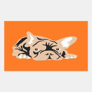 Französische Bulldogge auf orange Sticker