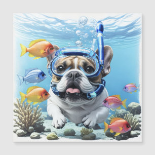 Französische Bulldogge beim Schnorcheln