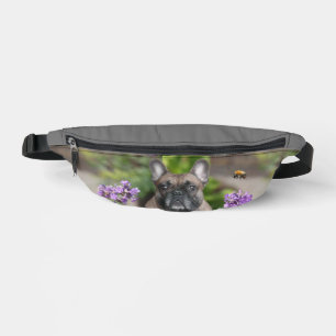 Französische Bulldogge  Fanny Pack