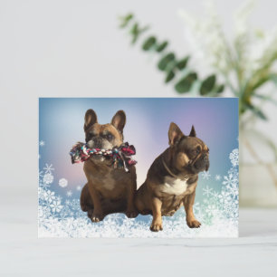 französische Bulldogge Grusskarte Weihnachten  Thank You Card