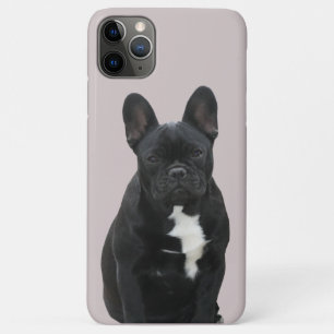 Französische Bulldogge iPhone 11 Pro Max Hülle Case