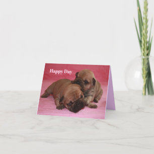 Französische Bulldogge Karte auf Kissen Holiday Card