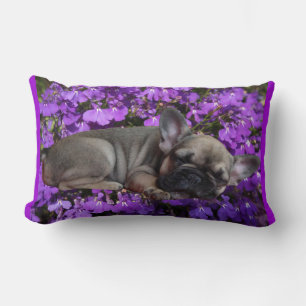 Französische Bulldogge Kissen Lumbar Pillow